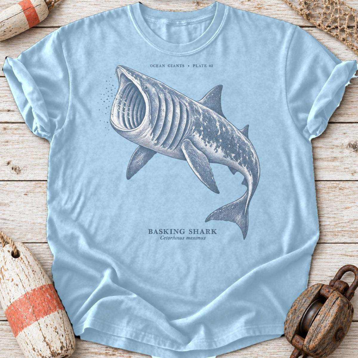 Basking Shark Engraving