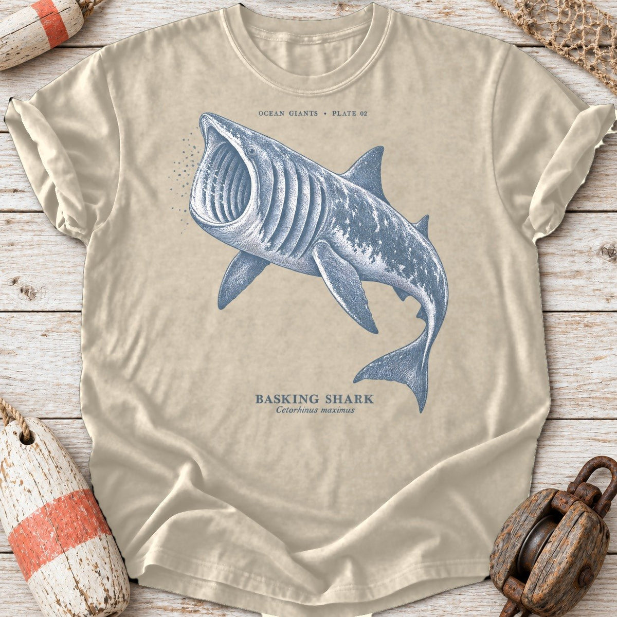 Basking Shark Engraving