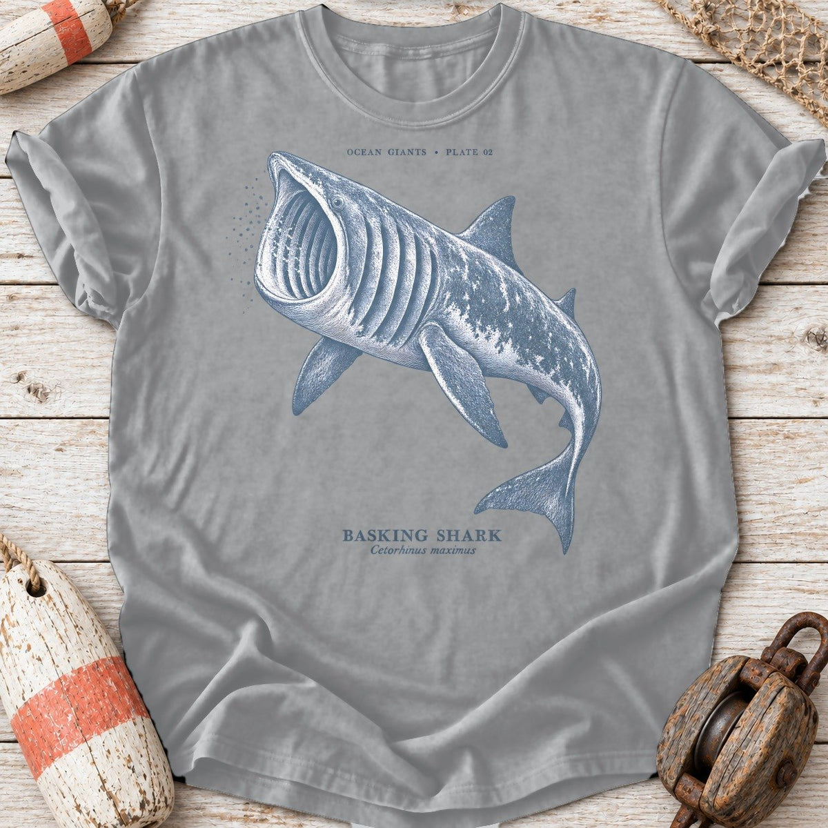 Basking Shark Engraving