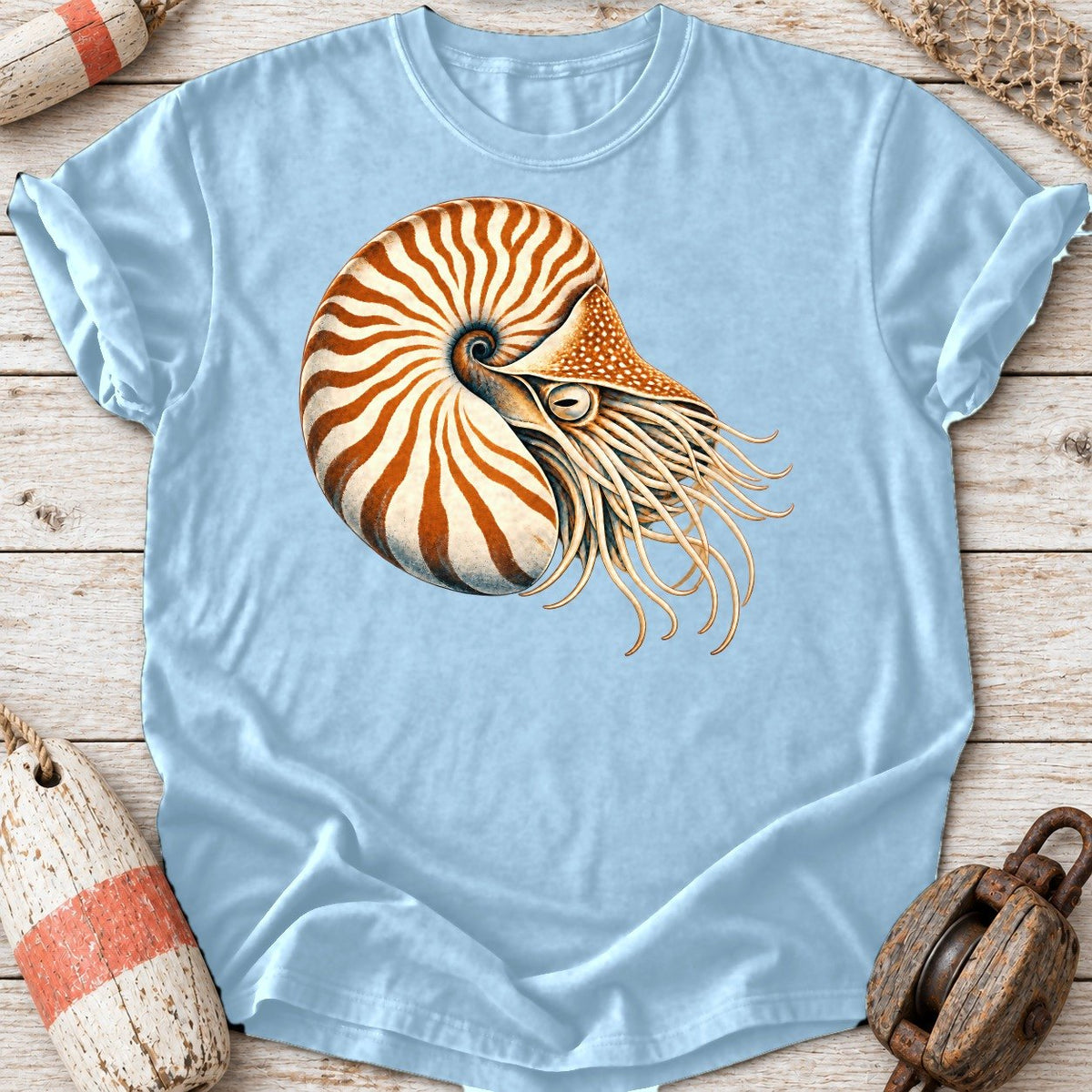 Chambered Nautilus