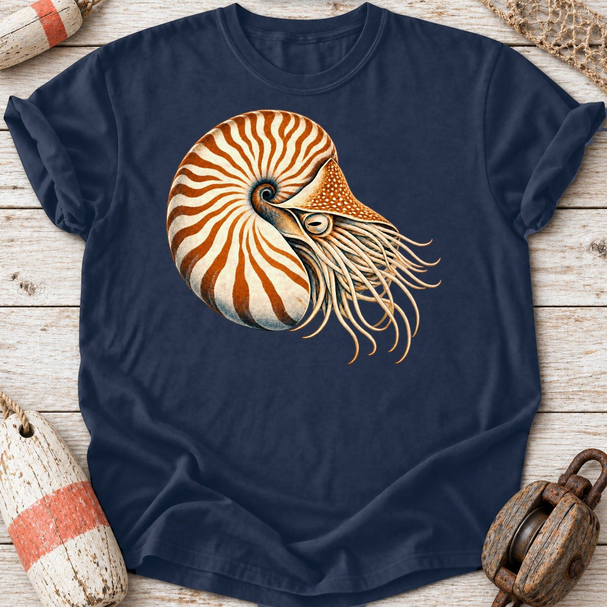 Chambered Nautilus