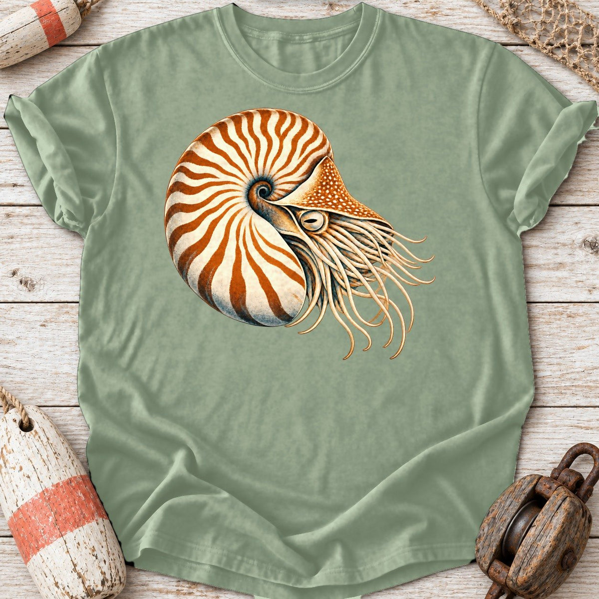 Chambered Nautilus