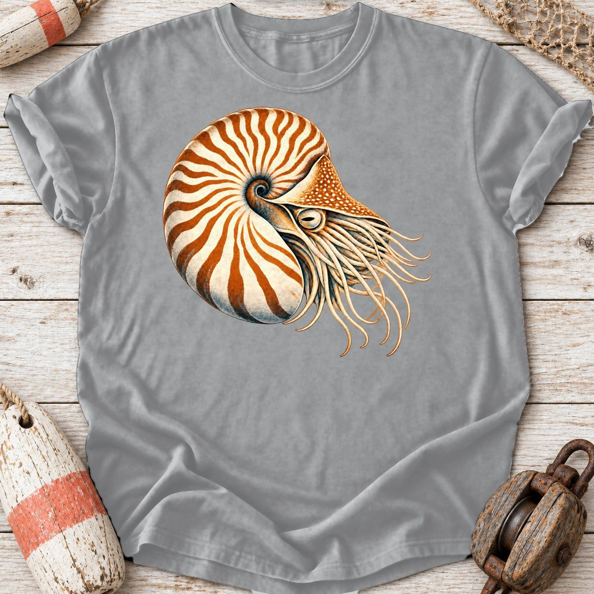 Chambered Nautilus