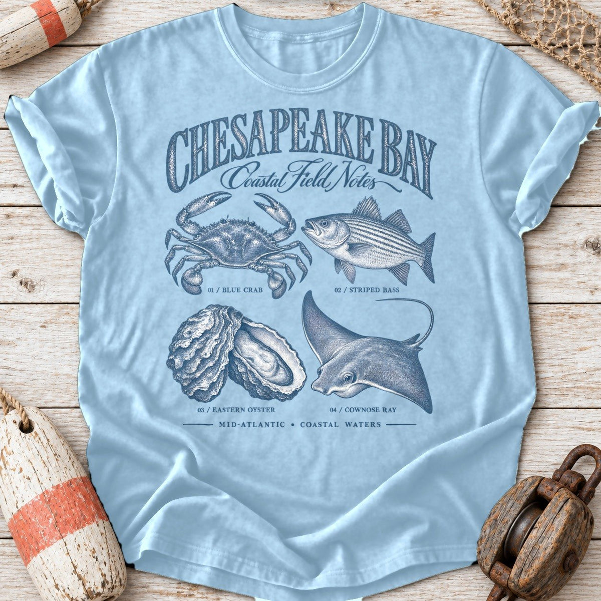 Chesapeake Field Notes