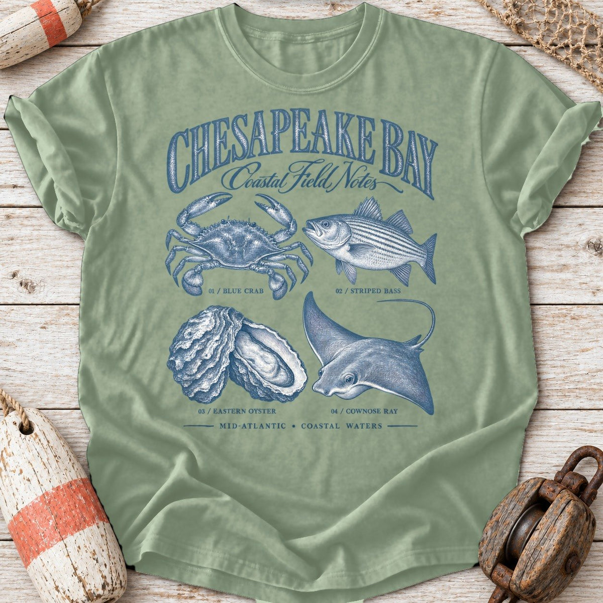 Chesapeake Field Notes