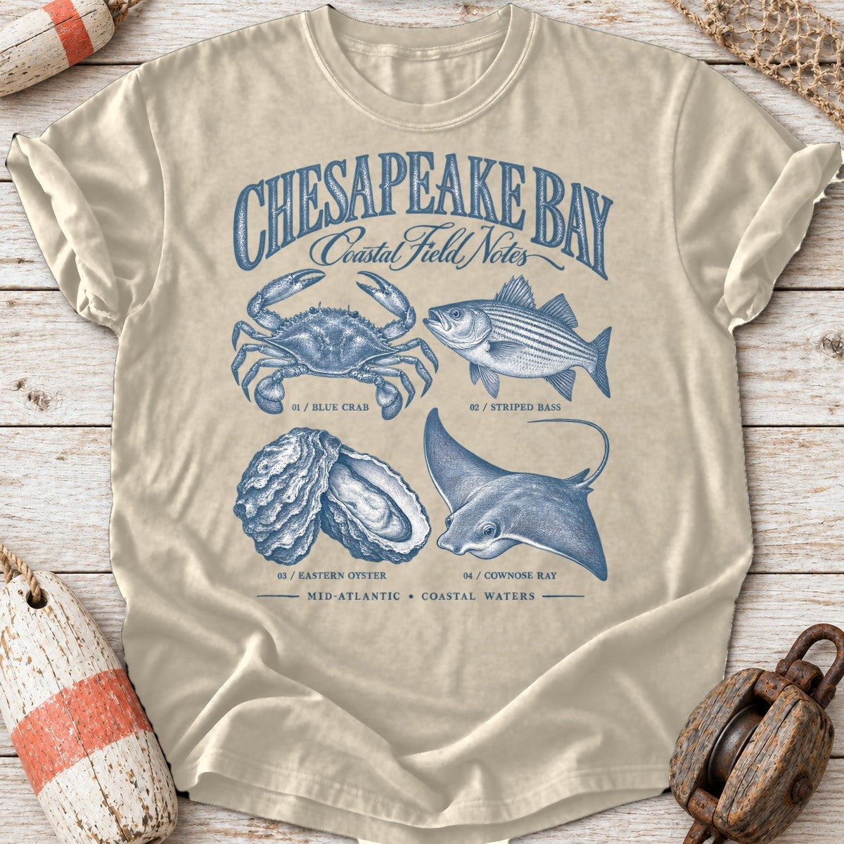 Chesapeake Field Notes