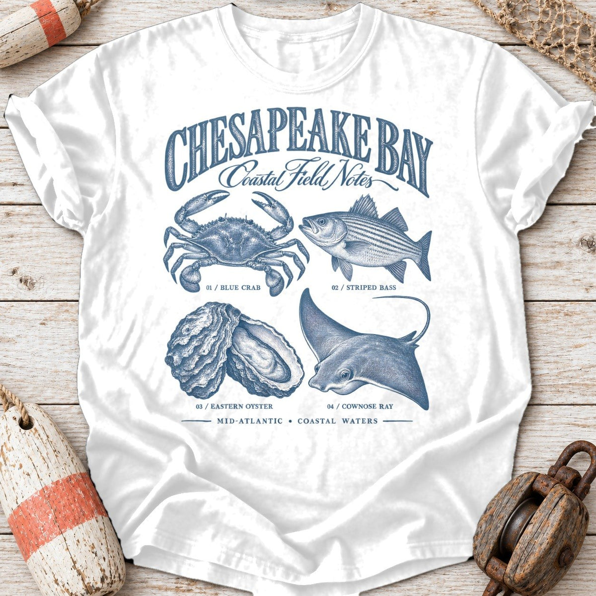 Chesapeake Field Notes
