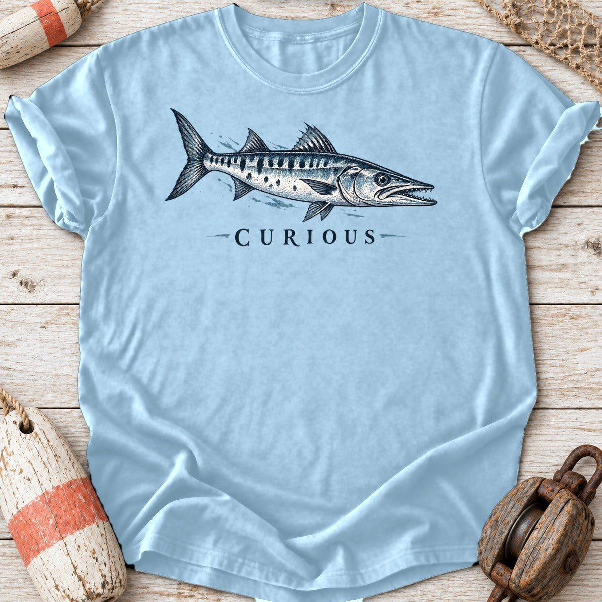 Curious Barracuda