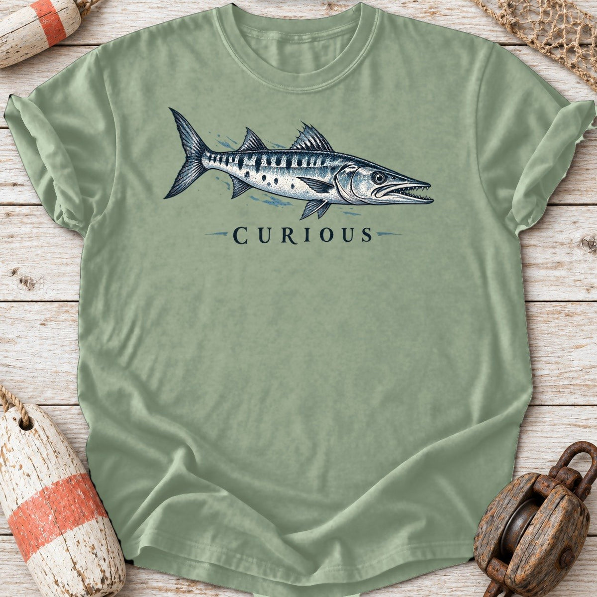 Curious Barracuda