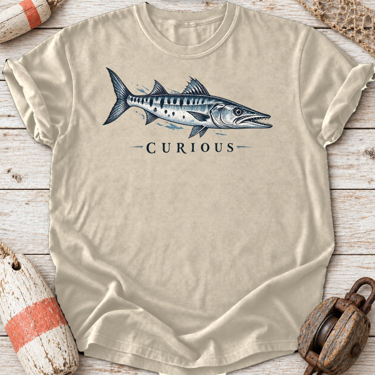 Curious Barracuda