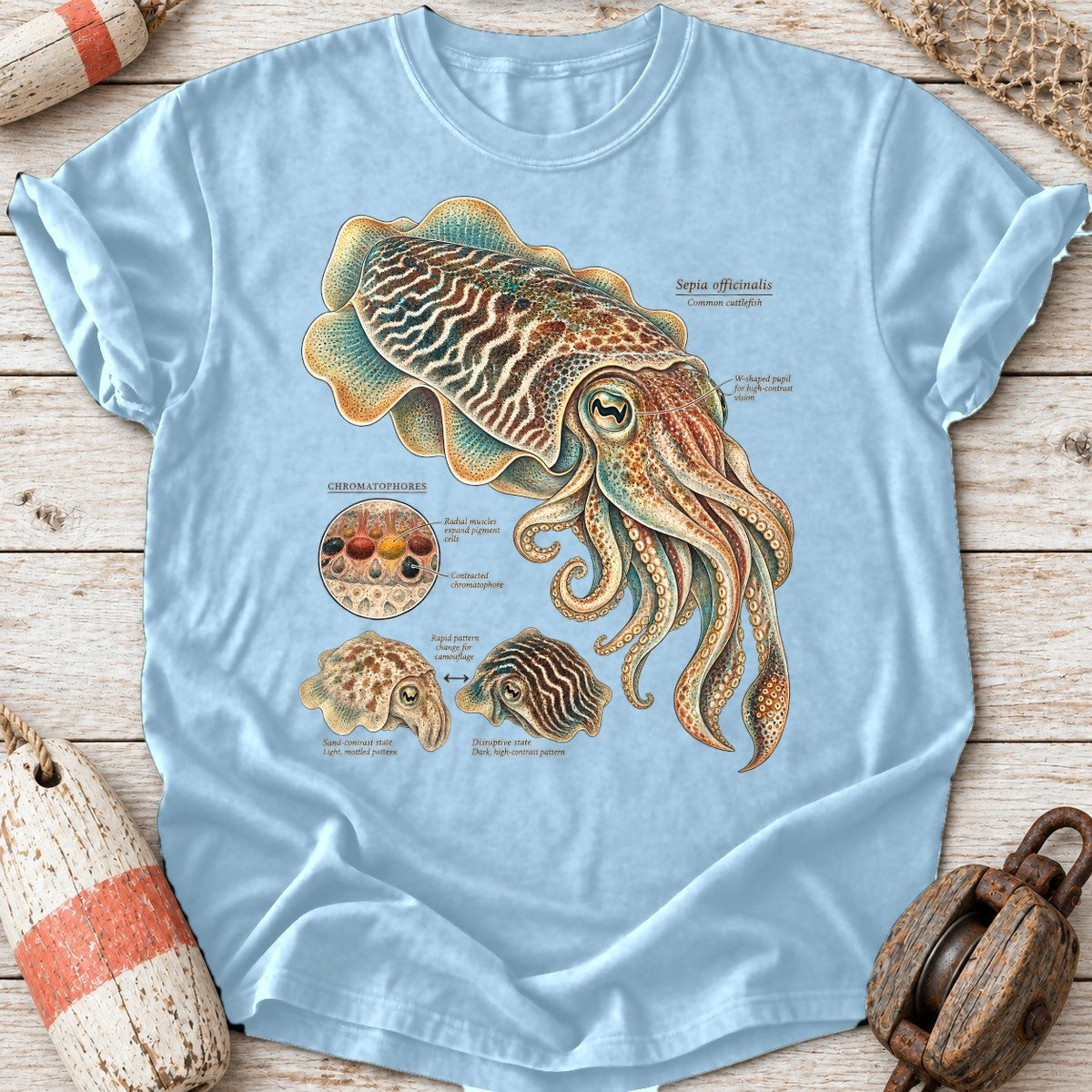 Cuttlefish Plate