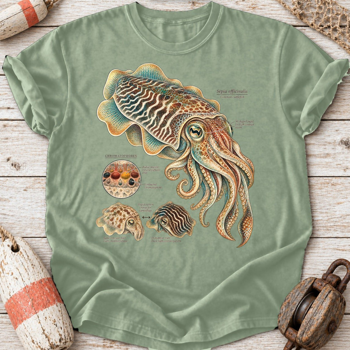Cuttlefish Plate