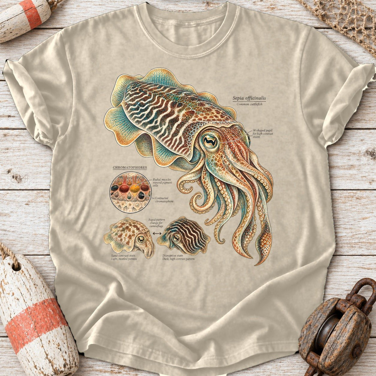 Cuttlefish Plate