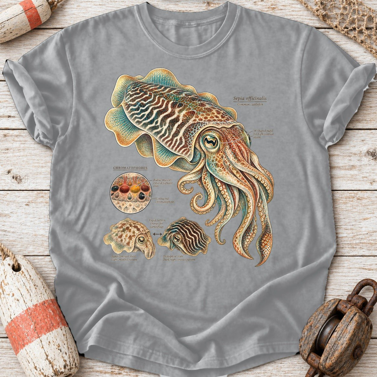 Cuttlefish Plate