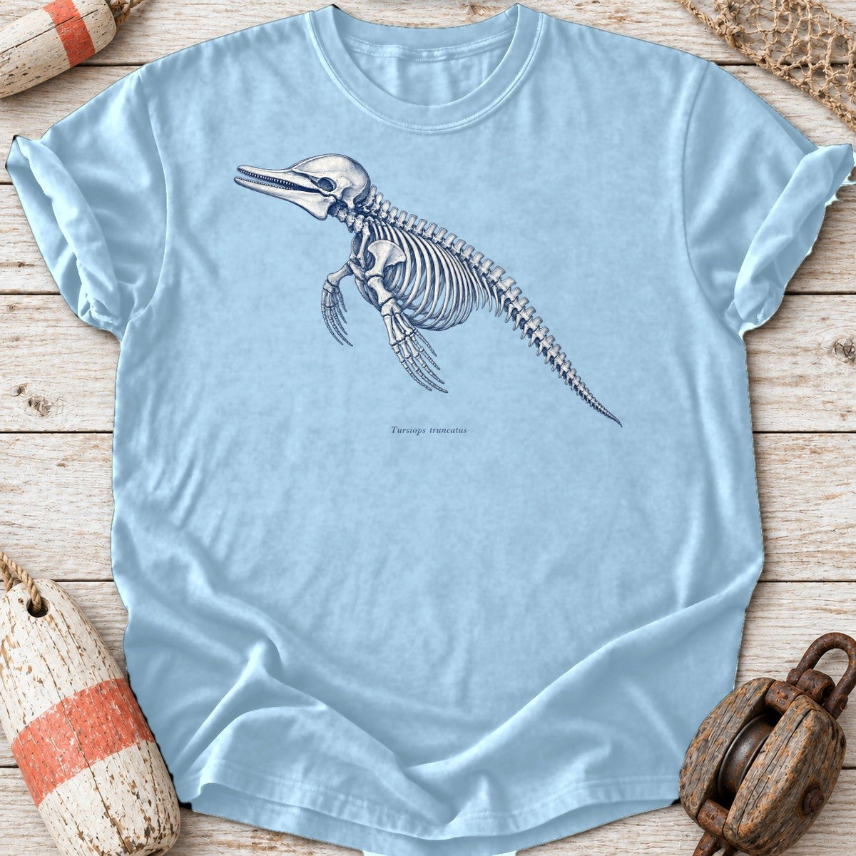 Dolphin Skeleton