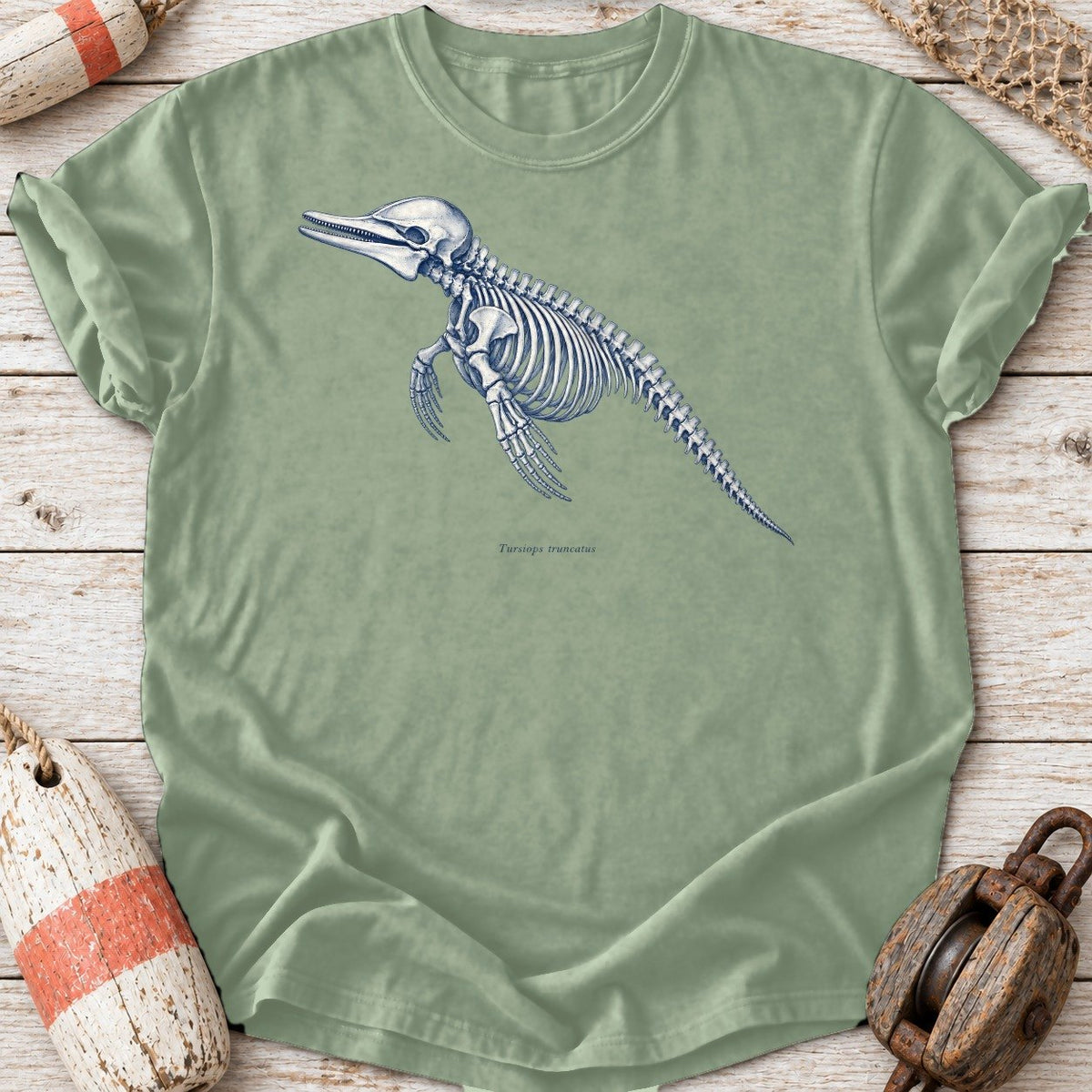 Dolphin Skeleton