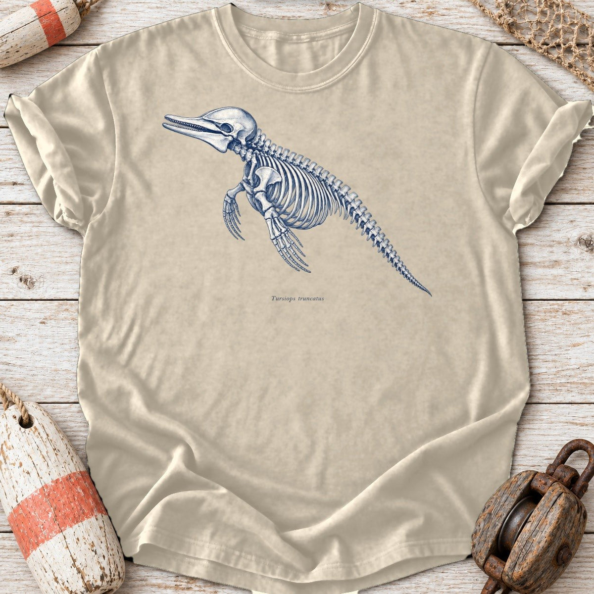 Dolphin Skeleton