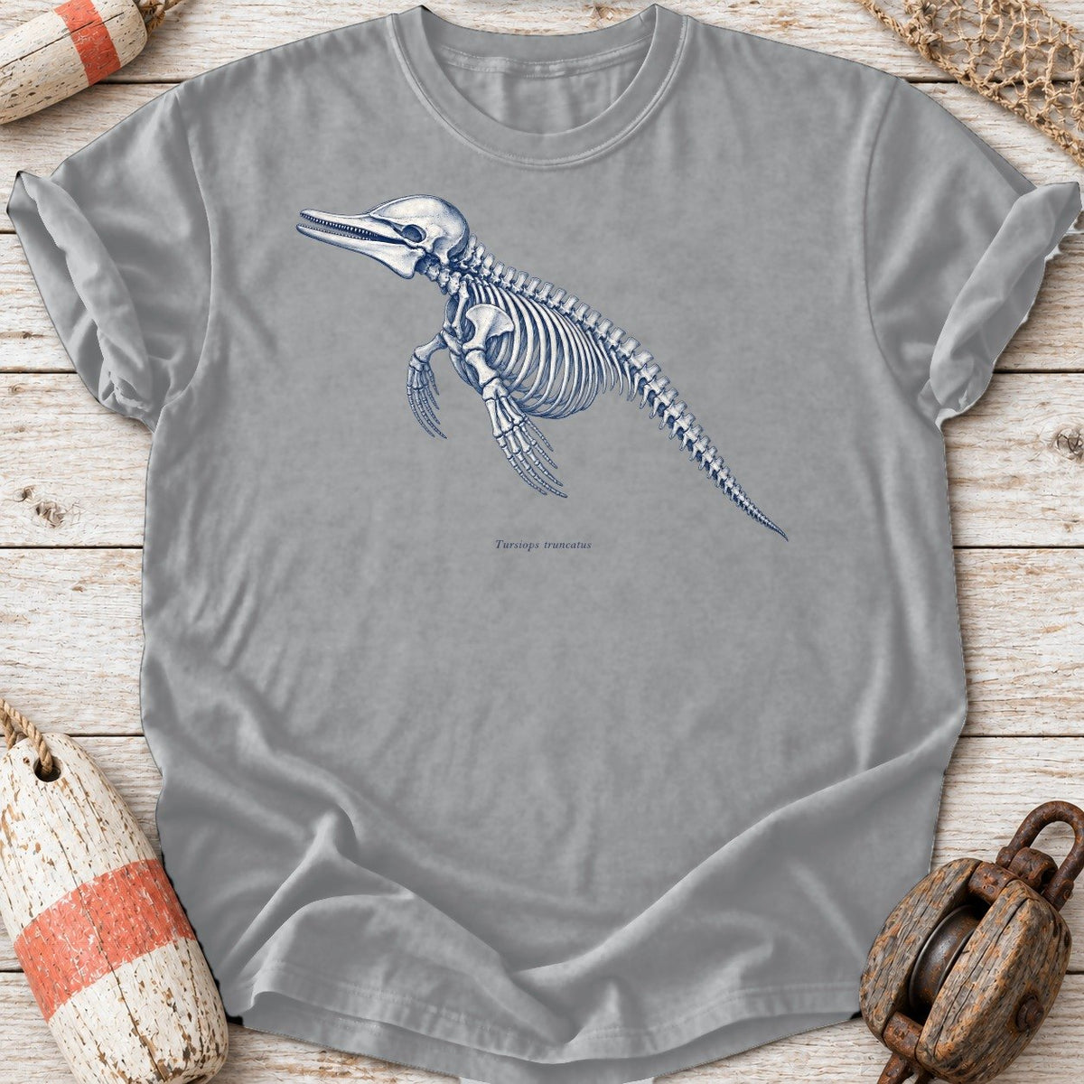 Dolphin Skeleton