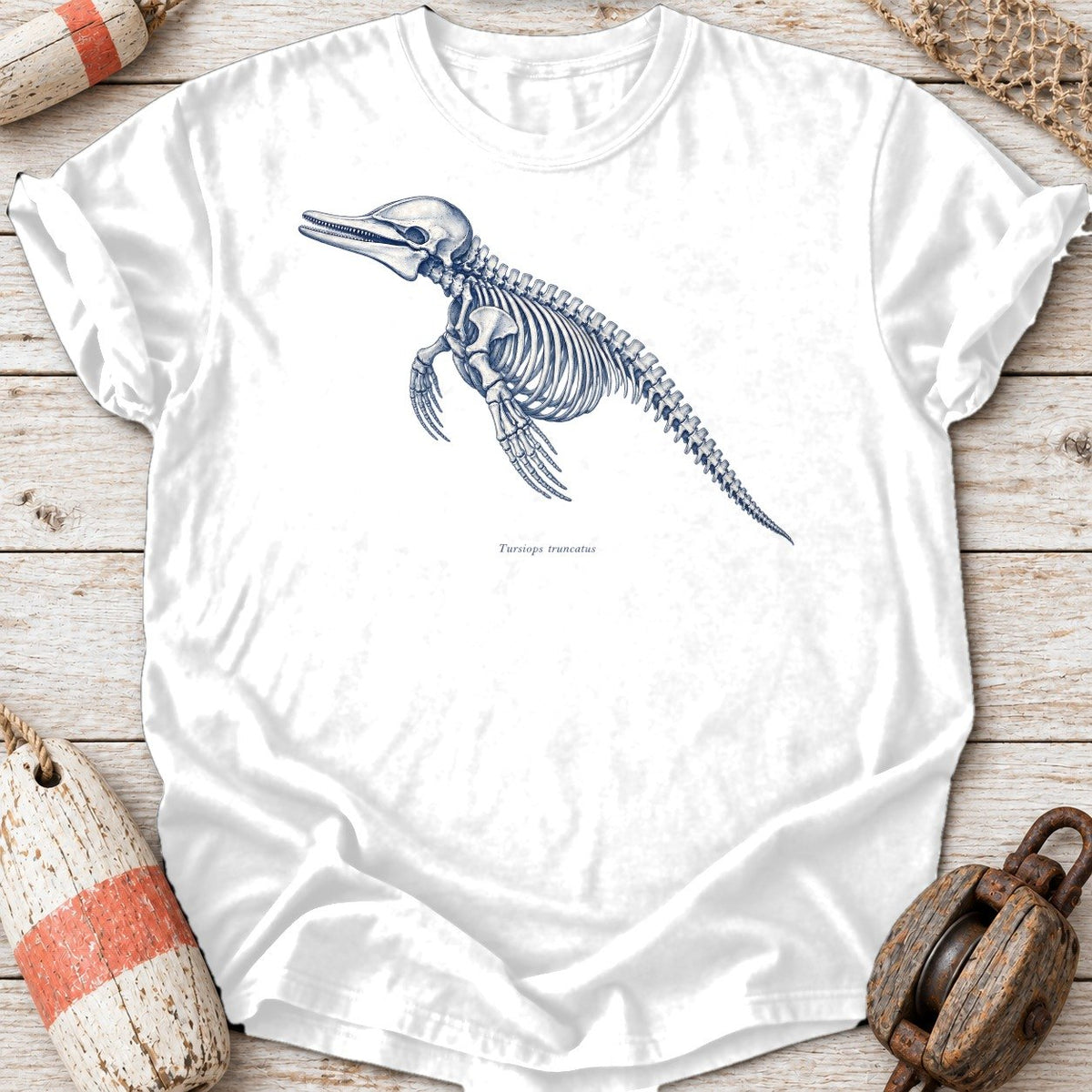 Dolphin Skeleton