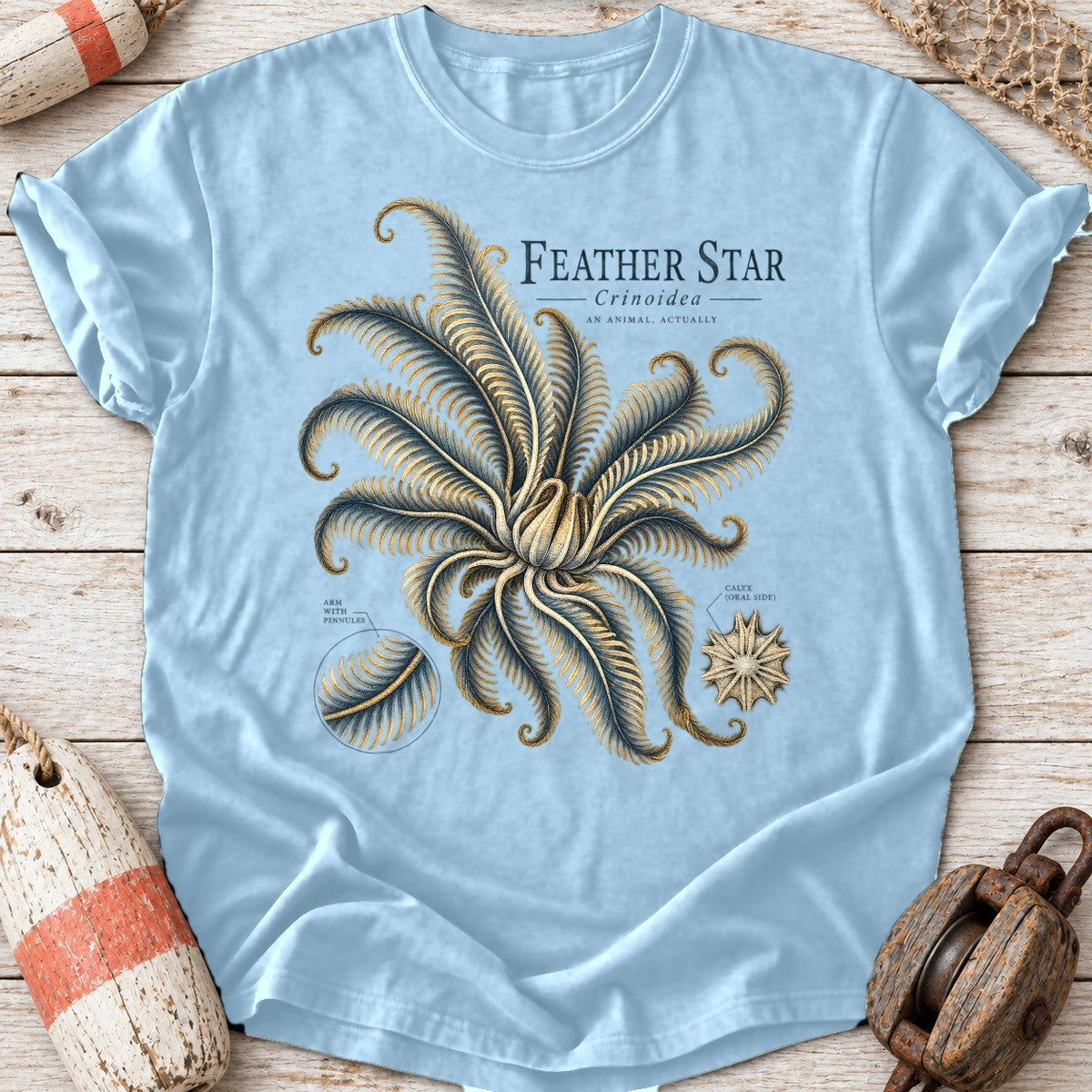 Feather Star