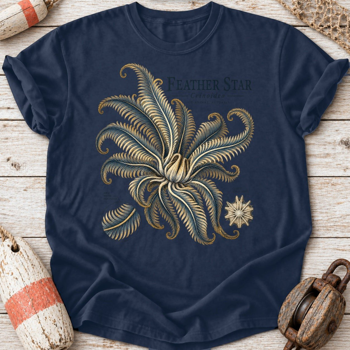 Feather Star