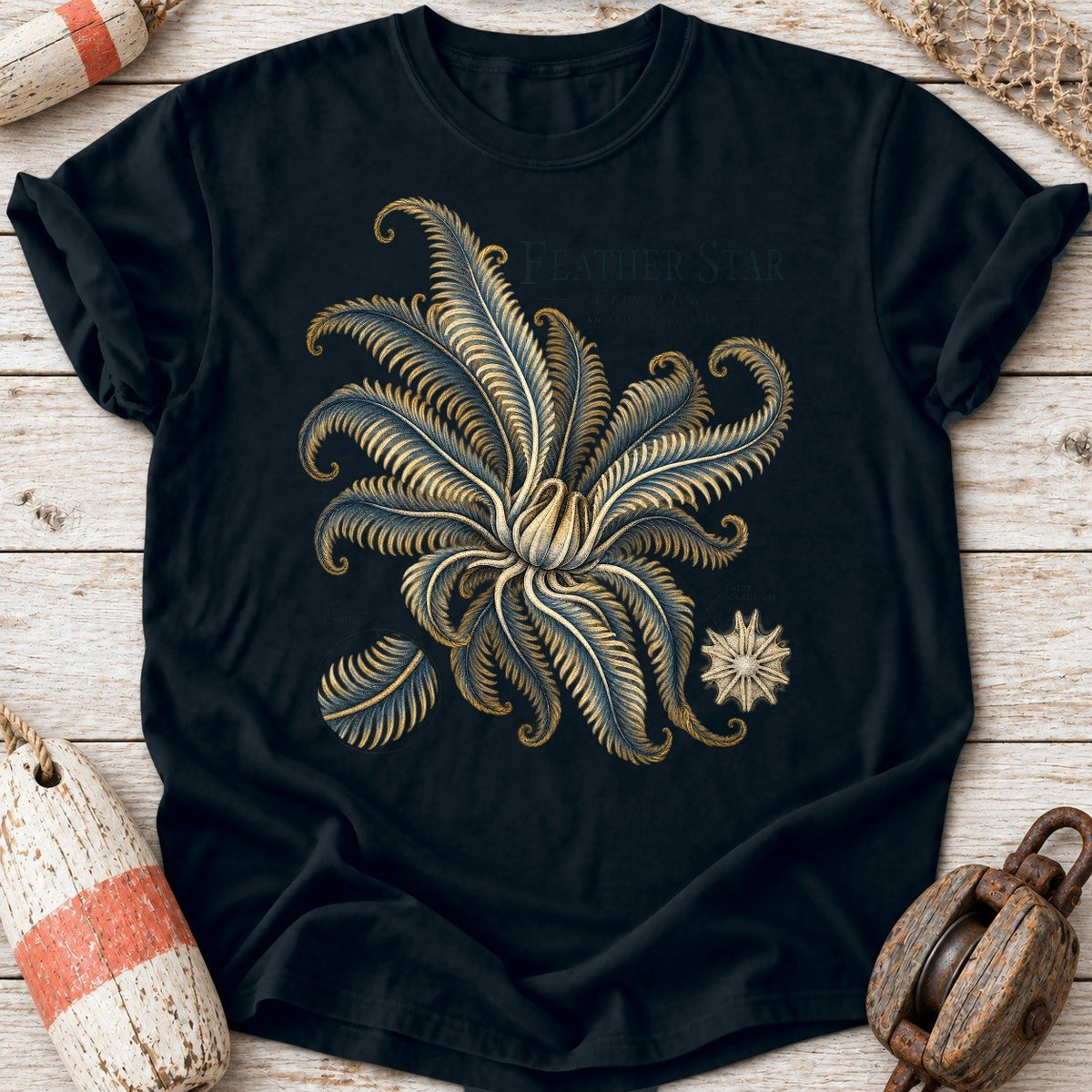 Feather Star