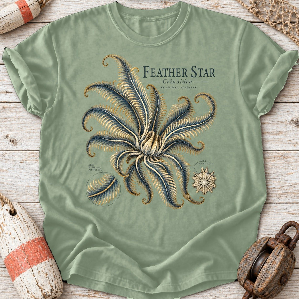 Feather Star