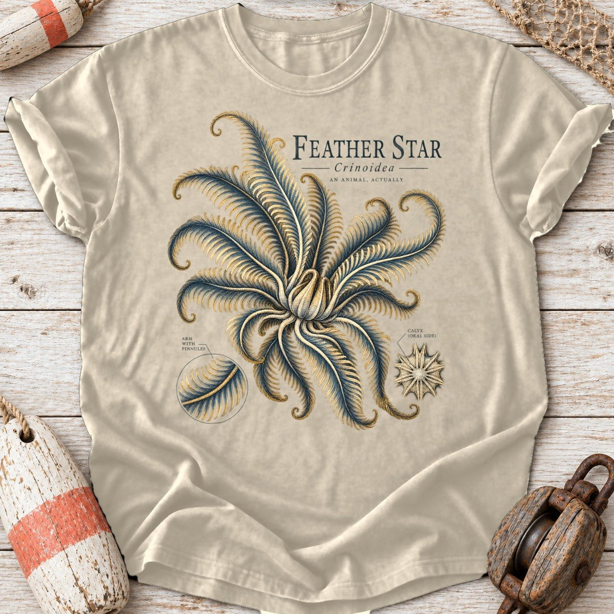 Feather Star