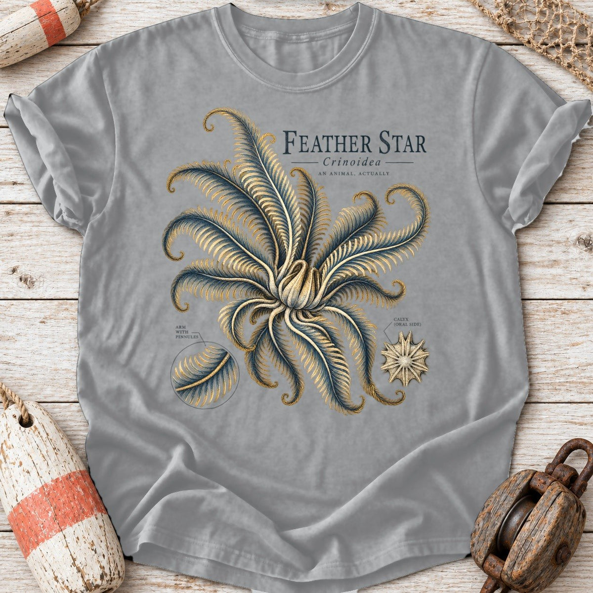 Feather Star