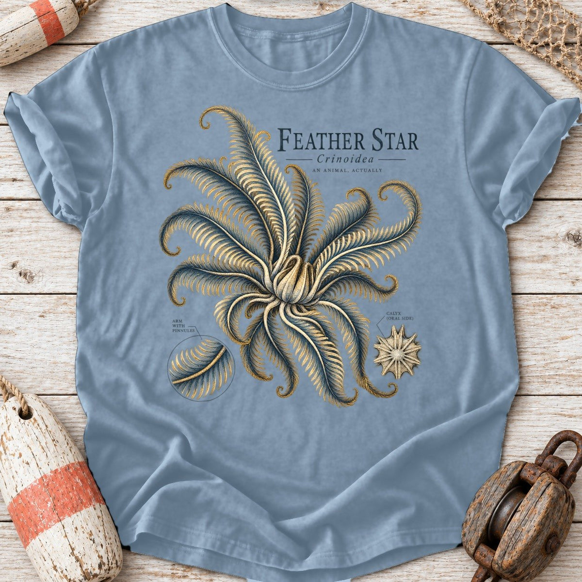 Feather Star