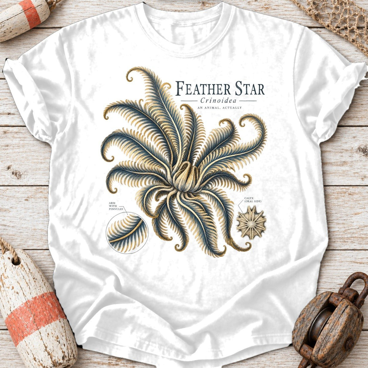 Feather Star