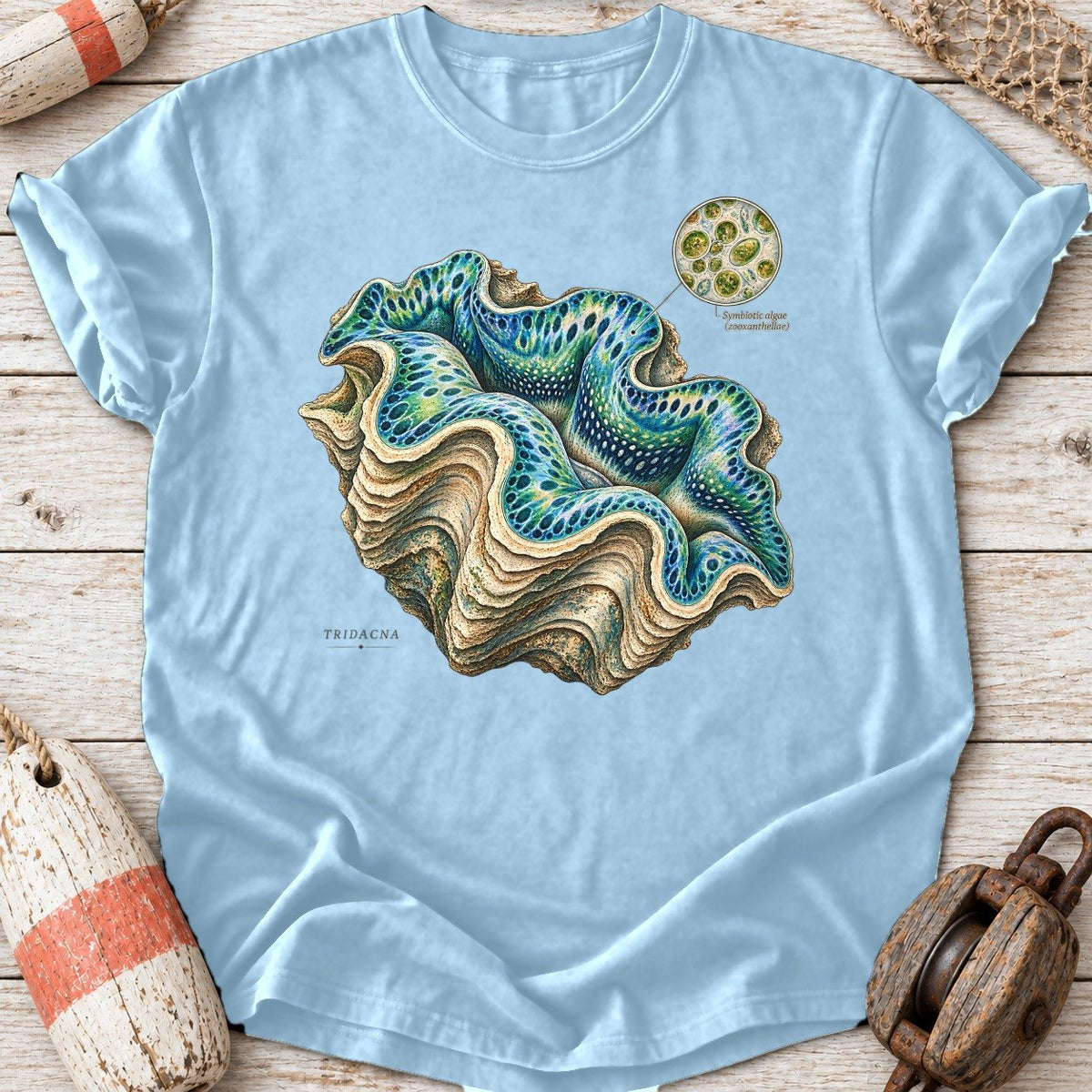 Giant Clam
