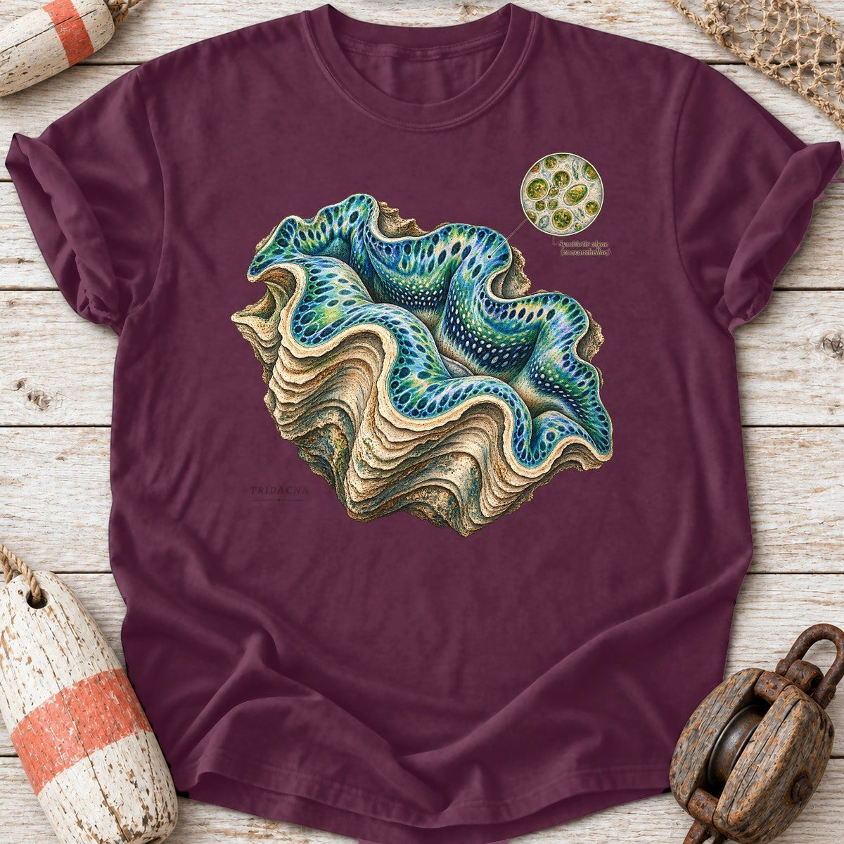Giant Clam