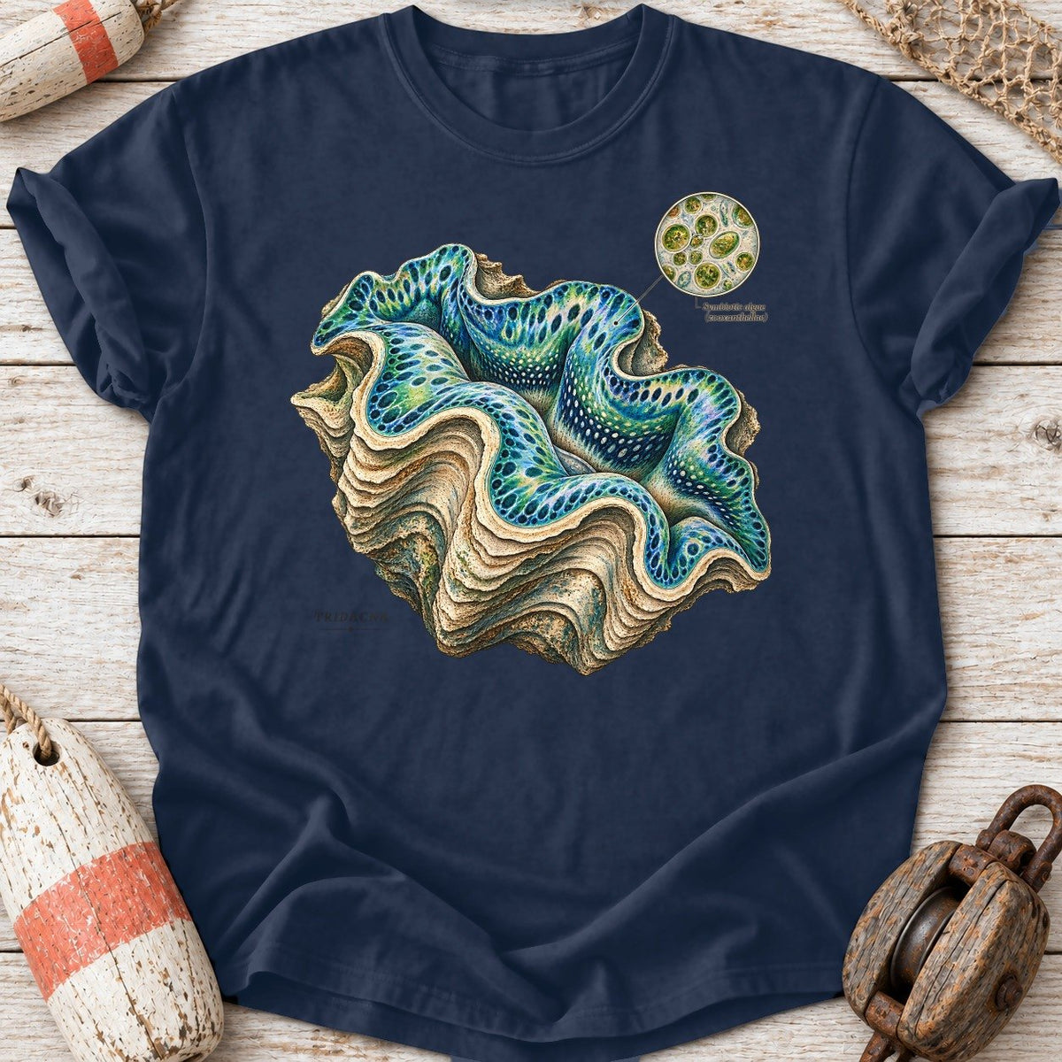 Giant Clam