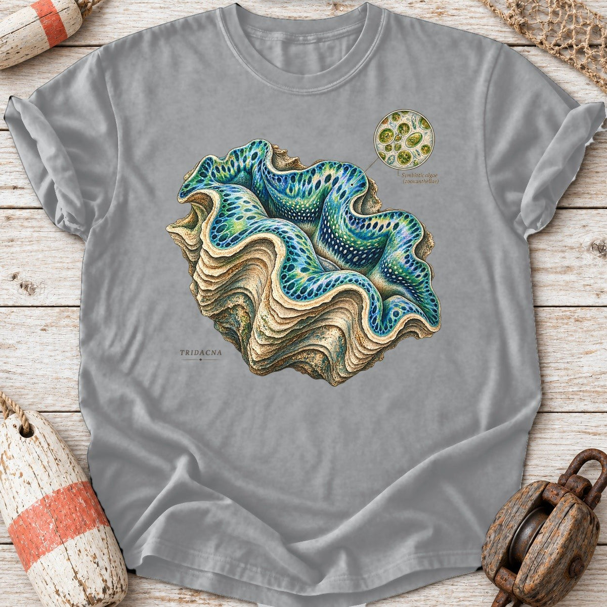 Giant Clam