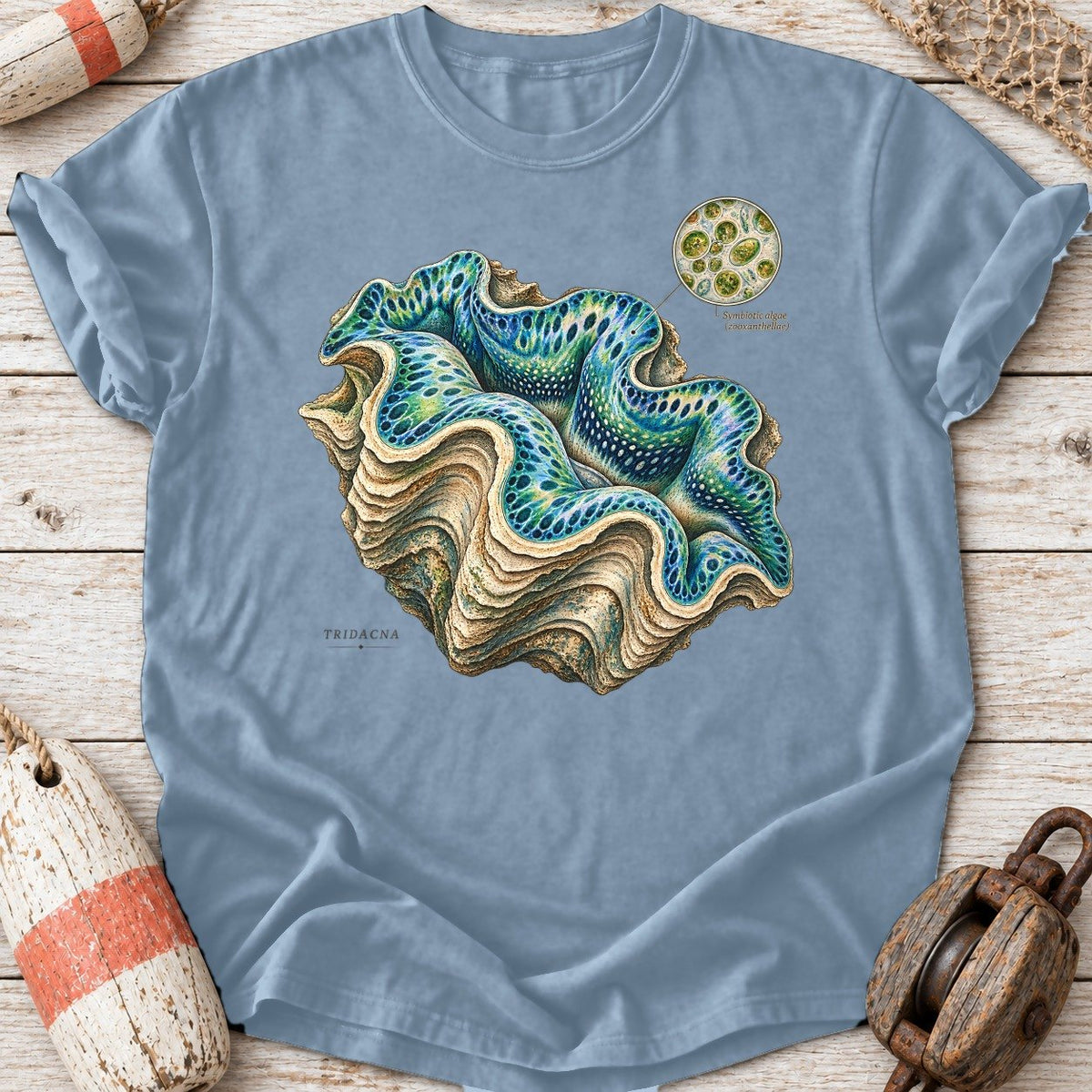 Giant Clam