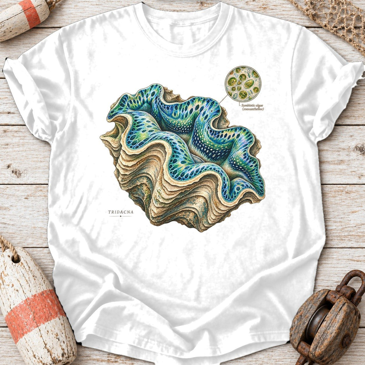 Giant Clam