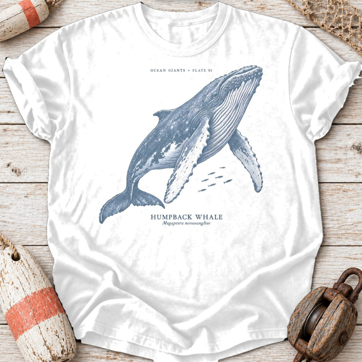 Humpback Whale Plate