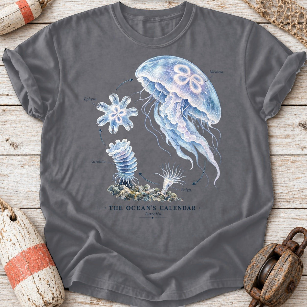 Jellyfish Life Cycle