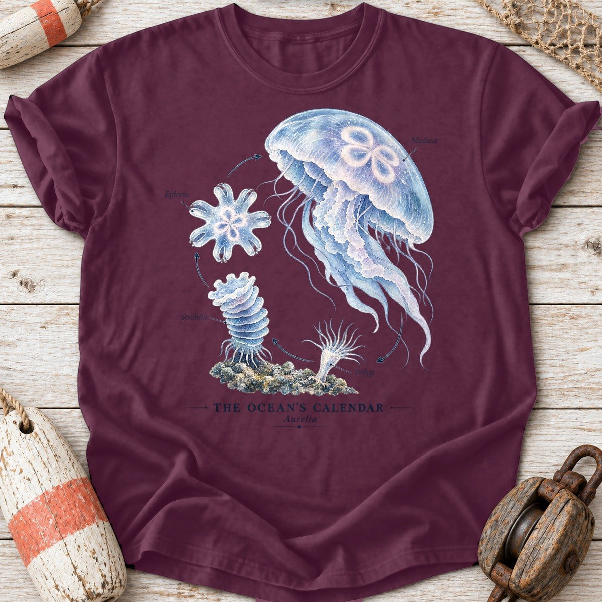 Jellyfish Life Cycle