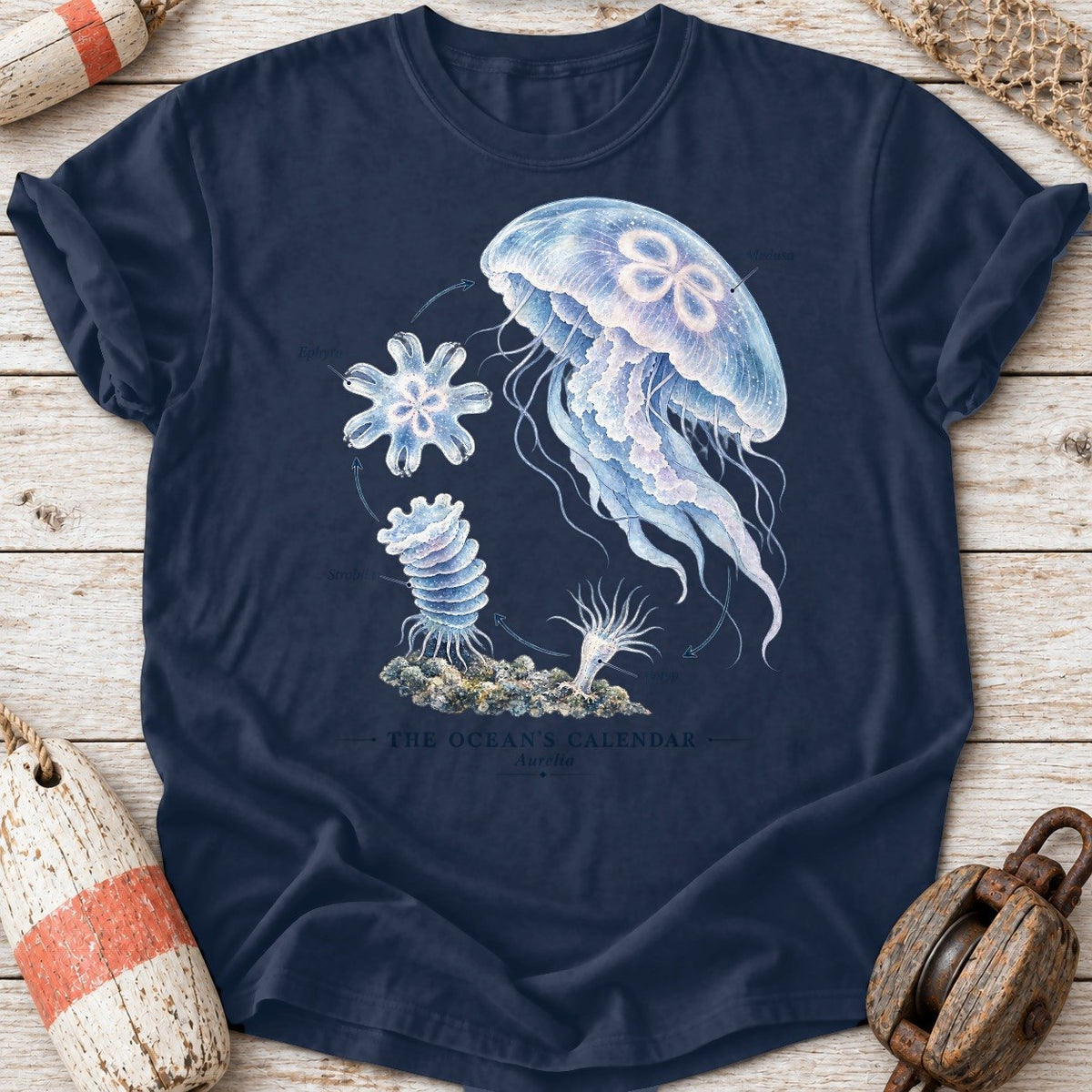 Jellyfish Life Cycle