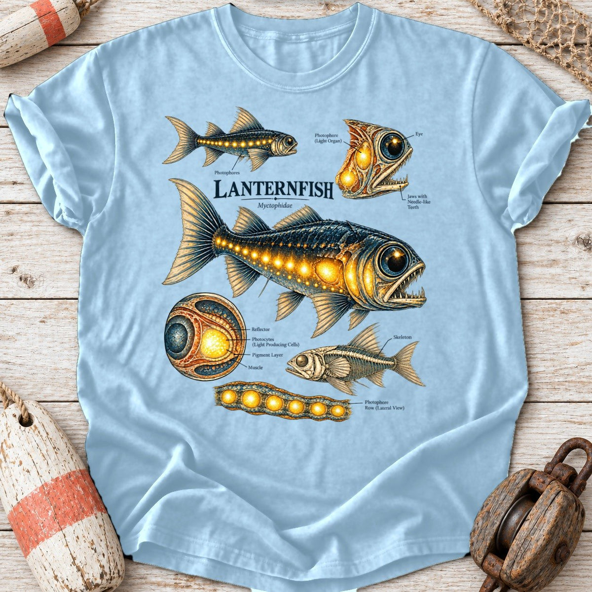 Lanternfish Anatomy