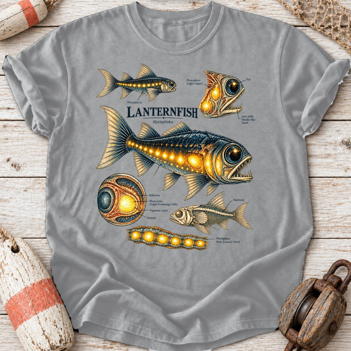 Lanternfish Anatomy