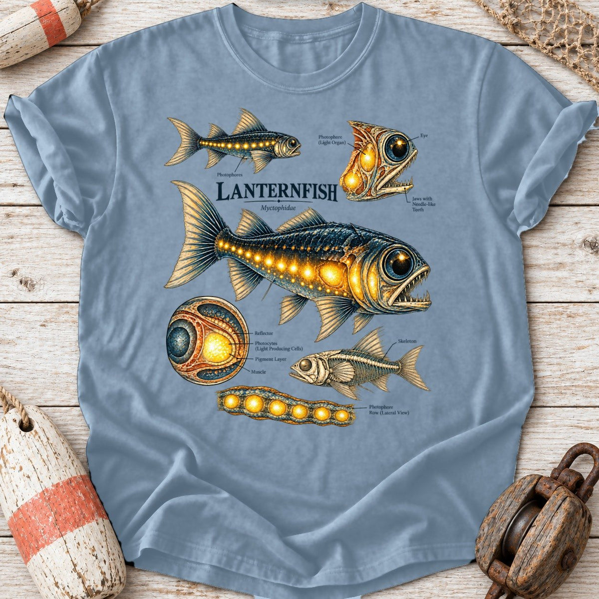 Lanternfish Anatomy
