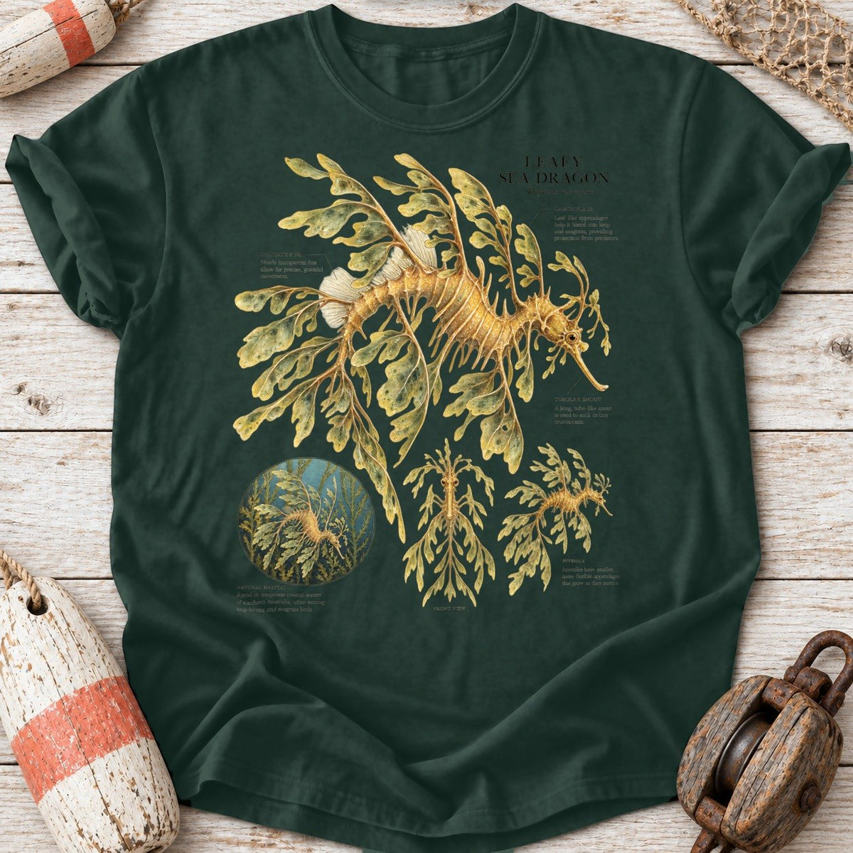 Leafy Sea Dragon