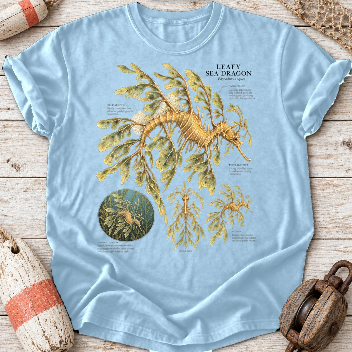 Leafy Sea Dragon