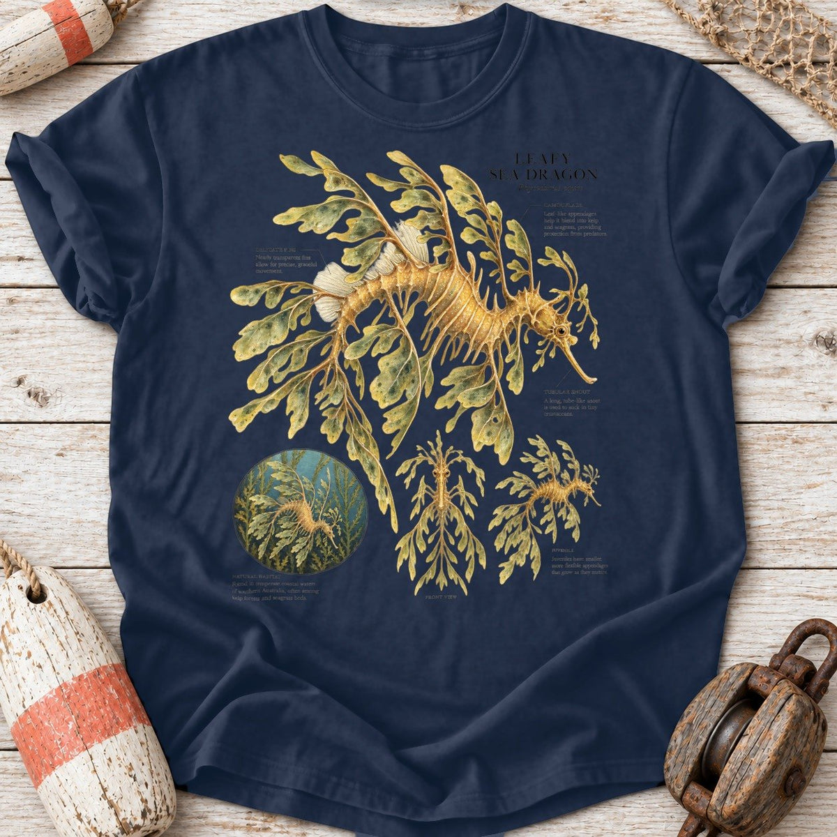 Leafy Sea Dragon