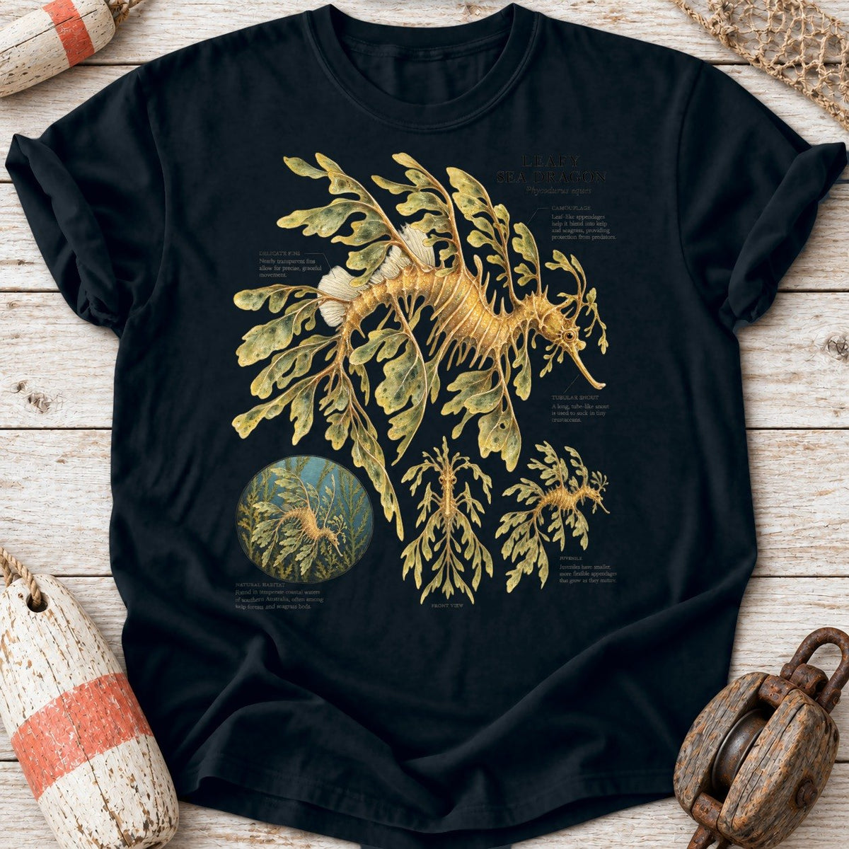 Leafy Sea Dragon