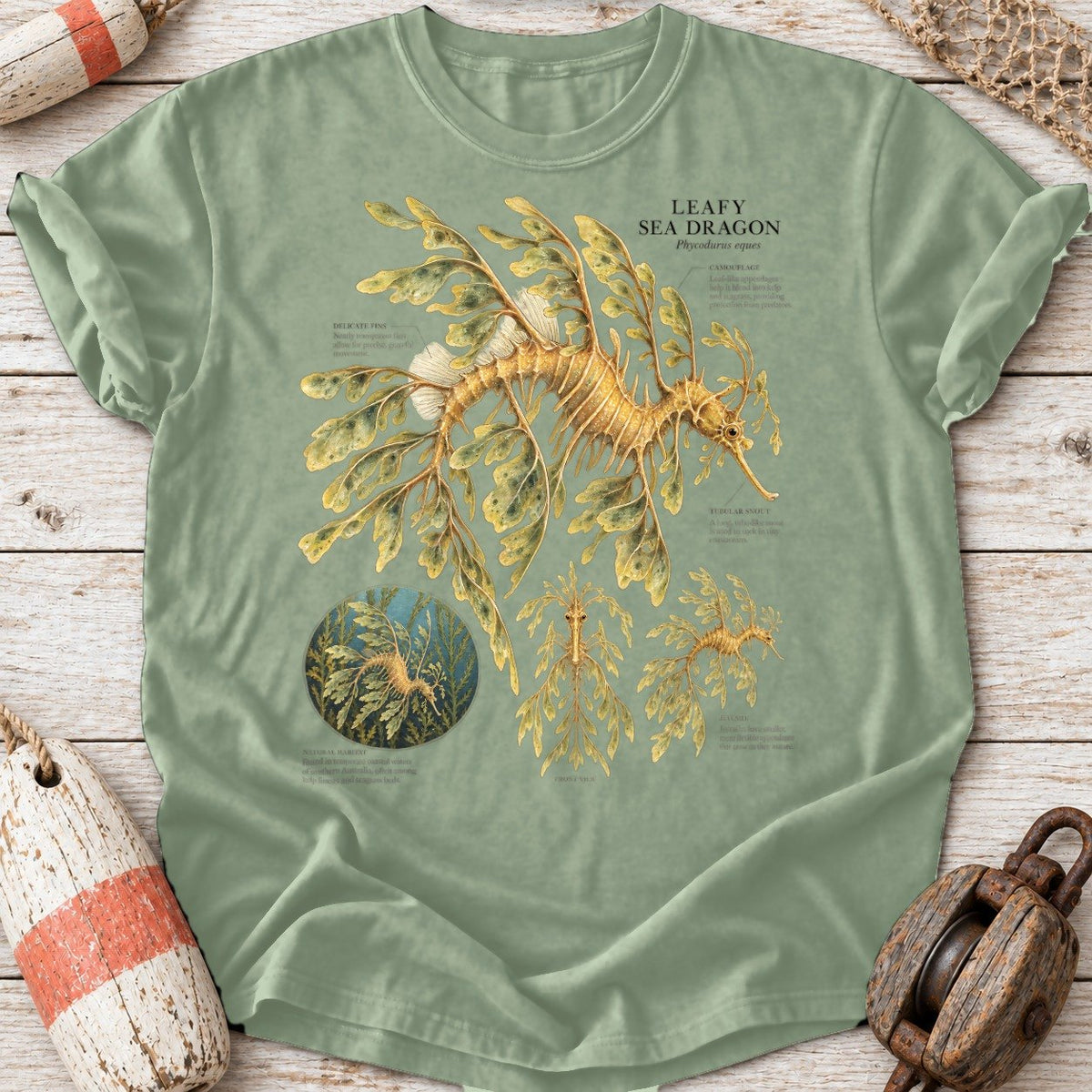 Leafy Sea Dragon