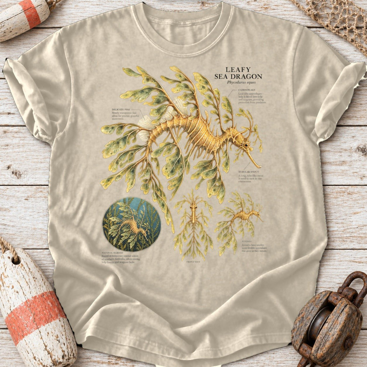 Leafy Sea Dragon